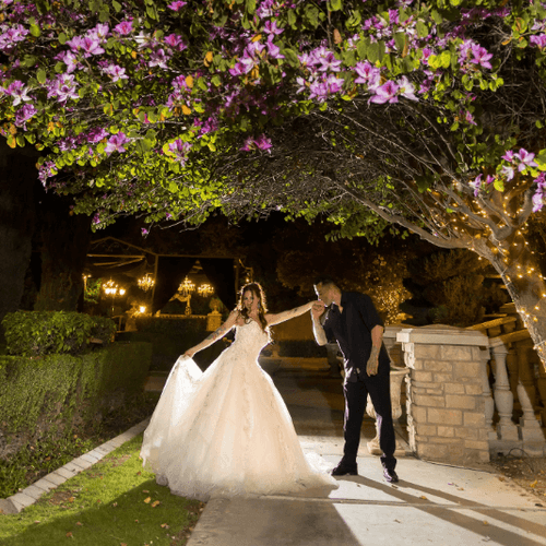 Home Arizona Wedding Show